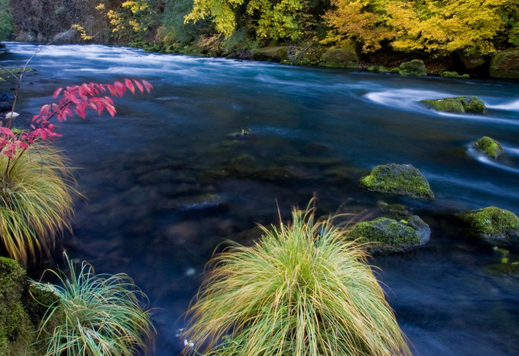 North Umpqua River / Ken Morrish