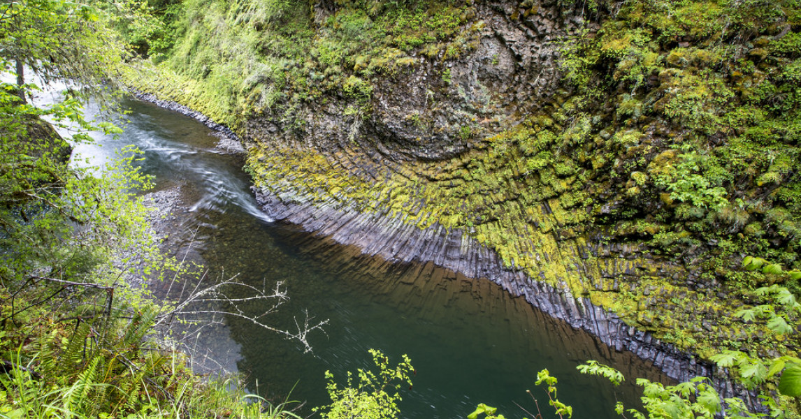 Molalla Watershed Restoration Reviving a Wild Fish River to its Former