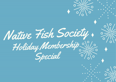 holiday-membership-special.png