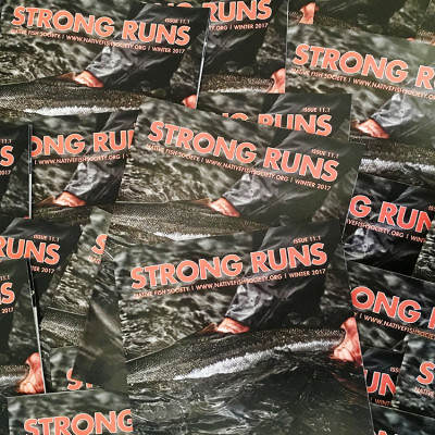 Strong Runs Winter 2017.jpg