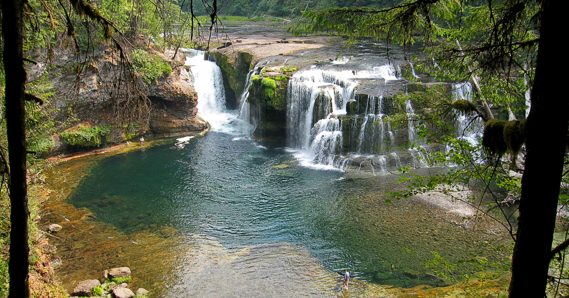 East Fork Lewis River Native Fish Society