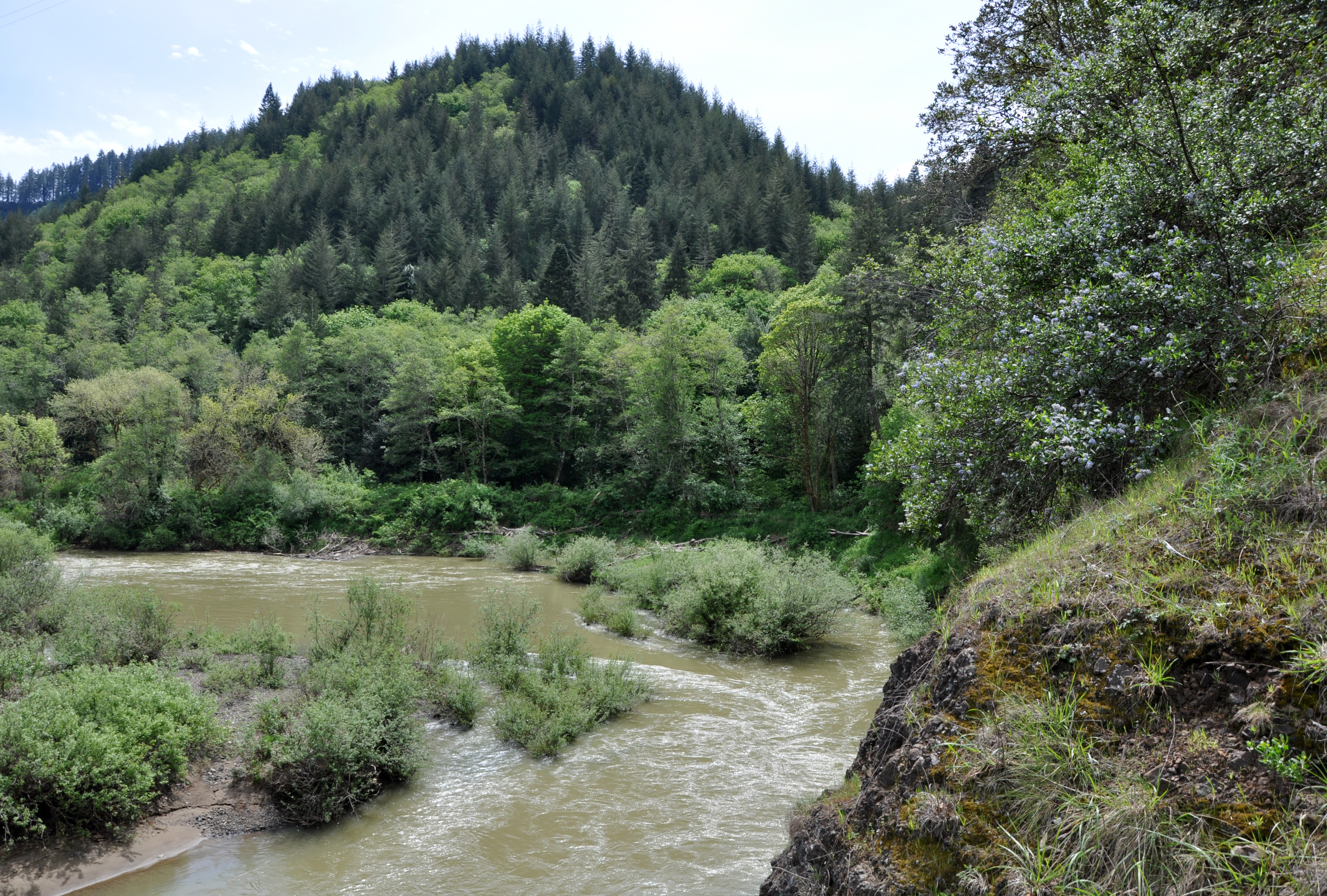 Middle fork of the Coquille River | Source: Wikipedia.