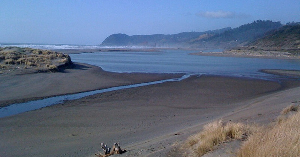 Pistol River Native Fish Society