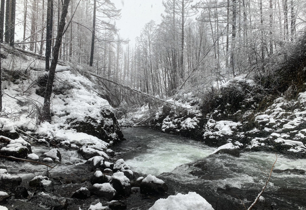 Confluence of Ogle Creek and mainstem Molalla post 2020 fire on a snowy winter day / Liz Perkin