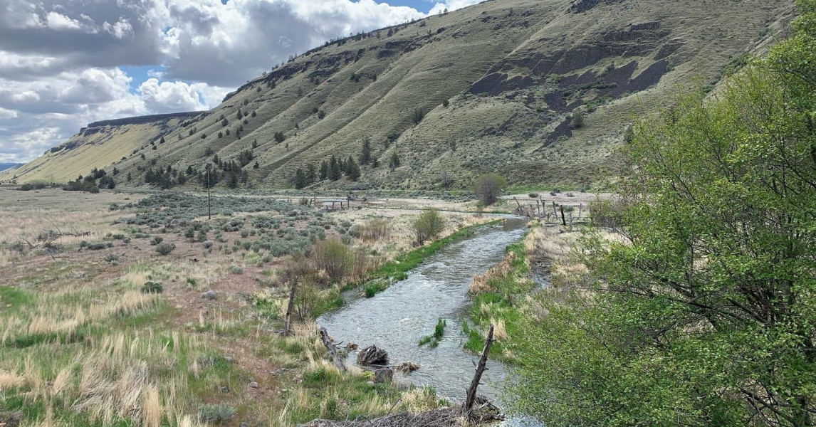 Preserve Water Quality in the Crooked River, Trout Creek, and lower